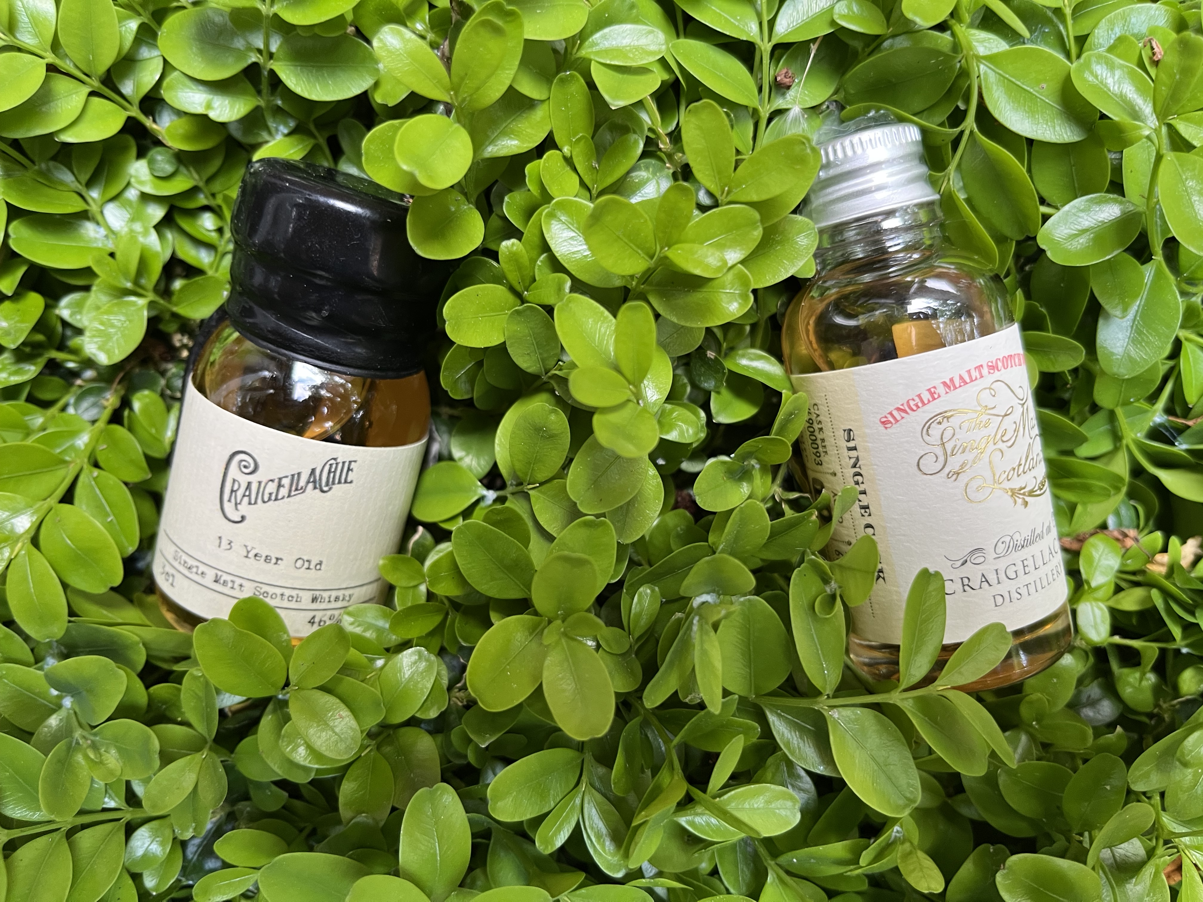 Craigellachie x2